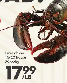Longo's Live Lobster offer