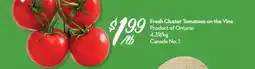 Longo's Fresh Cluster Tomatoes on the Vine offer