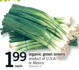 Fortinos ORGANIC GREEN ONIONS offer