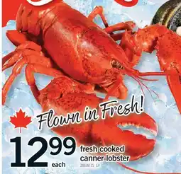 Fortinos FRESH COOKED CANNER LOBSTER offer