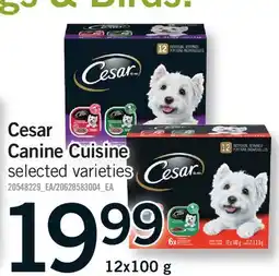 Fortinos CESAR CANINE CUISINE offer