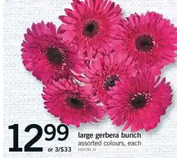 Fortinos LARGE GERBERA BUNCH offer