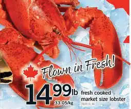 Fortinos FRESH COOKED MARKET SIZE LOBSTER offer