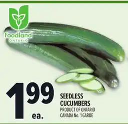Metro SEEDLESS CUCUMBERS offer