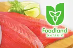 Metro FRESH RAINBOW TROUT OR TILAPIA FILLETS VALUE PACK OR PACIFIC WHITE COOKED SHRIMP RING offer
