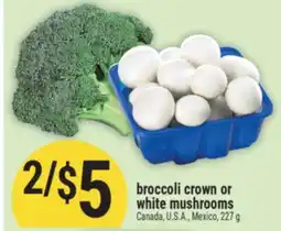 Marché Adonis broccoli crown or white mushrooms offer