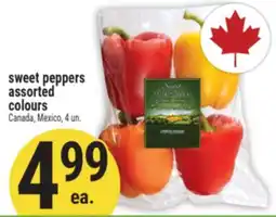 Marché Adonis sweet peppers assorted colours offer