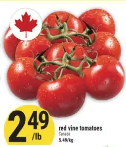 Marché Adonis red vine tomatoes offer