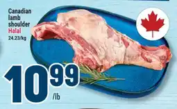 Marché Adonis Canadian lamb shoulder Halal offer