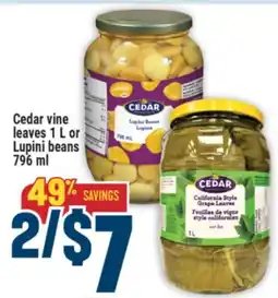 Marché Adonis Cedar vine leaves 1 L or Lupini beans 796 ml offer