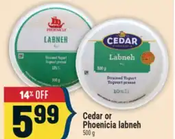 Marché Adonis Cedar or Phoenicia labneh offer