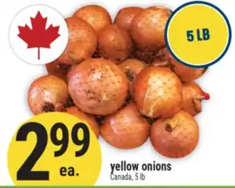 Marché Adonis yellow onions offer