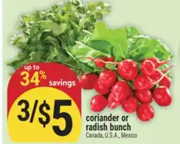 Marché Adonis coriander or radish bunch offer