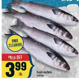 Marché Adonis fresh mullets offer