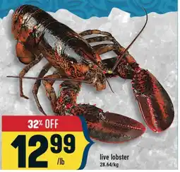 Marché Adonis live lobster offer