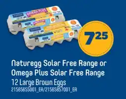Real Canadian Superstore NATUREGG SOLAR FREE RANGE OR OMEGA PLUS SOLAR FREE RANGE 12 LARGE BROWN EGGS offer