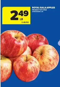 Real Canadian Superstore ROYAL GALA APPLES offer