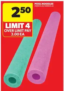 Real Canadian Superstore POOL NOODLES offer