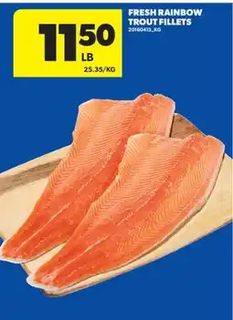 Real Canadian Superstore FRESH RAINBOW TROUT FILLETS offer