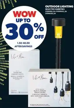 Real Canadian Superstore OUTDOOR LIGHTING offer