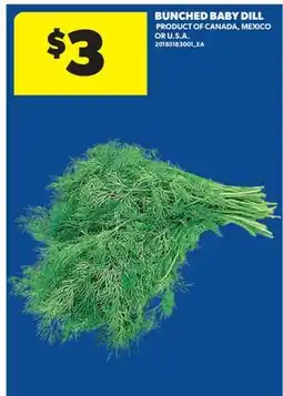 Real Canadian Superstore BUNCHED BABY DILL offer