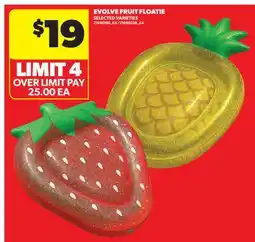 Real Canadian Superstore EVOLVE FRUIT FLOATIE offer