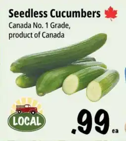 Farm Boy Seedless Cucumbers offer