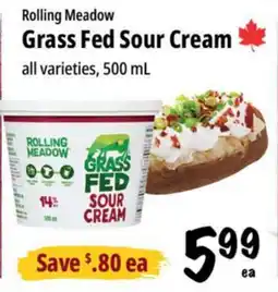 Farm Boy Rolling Meadow Grass Fed Sour Cream offer