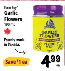 Farm Boy Farm Boy Garlic Flowers offer
