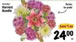 Farm Boy Farm Boy Harvest Bundle offer