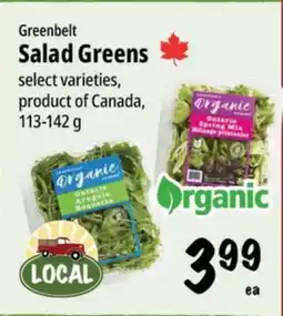 Farm Boy Greenbelt Salad Greens offer