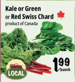 Farm Boy Kale or Green or Red Swiss Chard offer