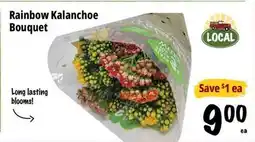 Farm Boy Rainbow Kalanchoe Bouquet offer