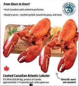 Farm Boy Cooked Canadian Atlantic Lobster offer