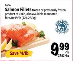 Farm Boy Coho Salmon Fillets offer