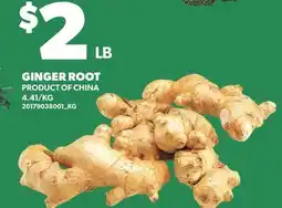 Loblaws GINGER ROOT offer