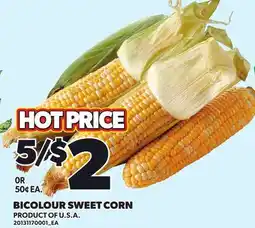 Loblaws BICOLOUR SWEET CORN offer