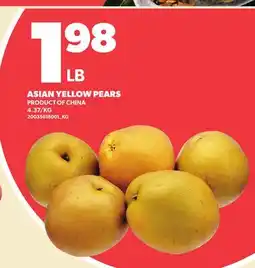 Loblaws ASIAN YELLOW PEAR offer