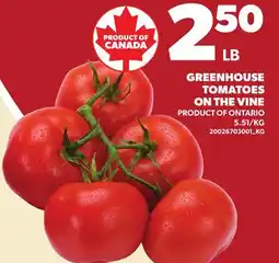 Loblaws GREENHOUSE TOMATOES ON THE VINE offer