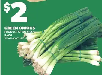 Loblaws GREEN ONIONS offer