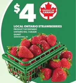 Loblaws LOCAL ONTARIO STRAWBERRIES, QUART offer