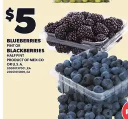 Loblaws BLUEBERRIES, PINT OR BLACKBERRIES, HALF PINT offer