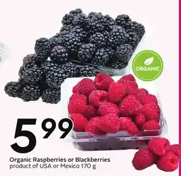 Sobeys Organic Raspberries or Blackberries - berry fest offer