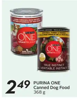 Sobeys Canned Dog Food offer