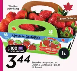 Sobeys Strawberries - berry fest offer