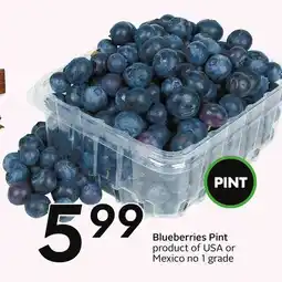 Sobeys Blueberries Pint - berry fest offer