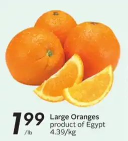 Sobeys Large Oranges offer