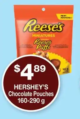 Wholesale Club CHOCOLATE POUCHES offer