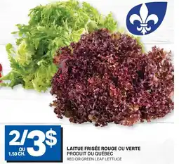 L'Intermarché LAITUE FRISÉE ROUGE OU VERTE | RED OR GREEN LEAF LETTUCE offer