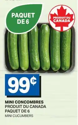 L'Intermarché MINI CONCOMBRES | MINI CONCOMBRES, PAQUET DE 6 offer
